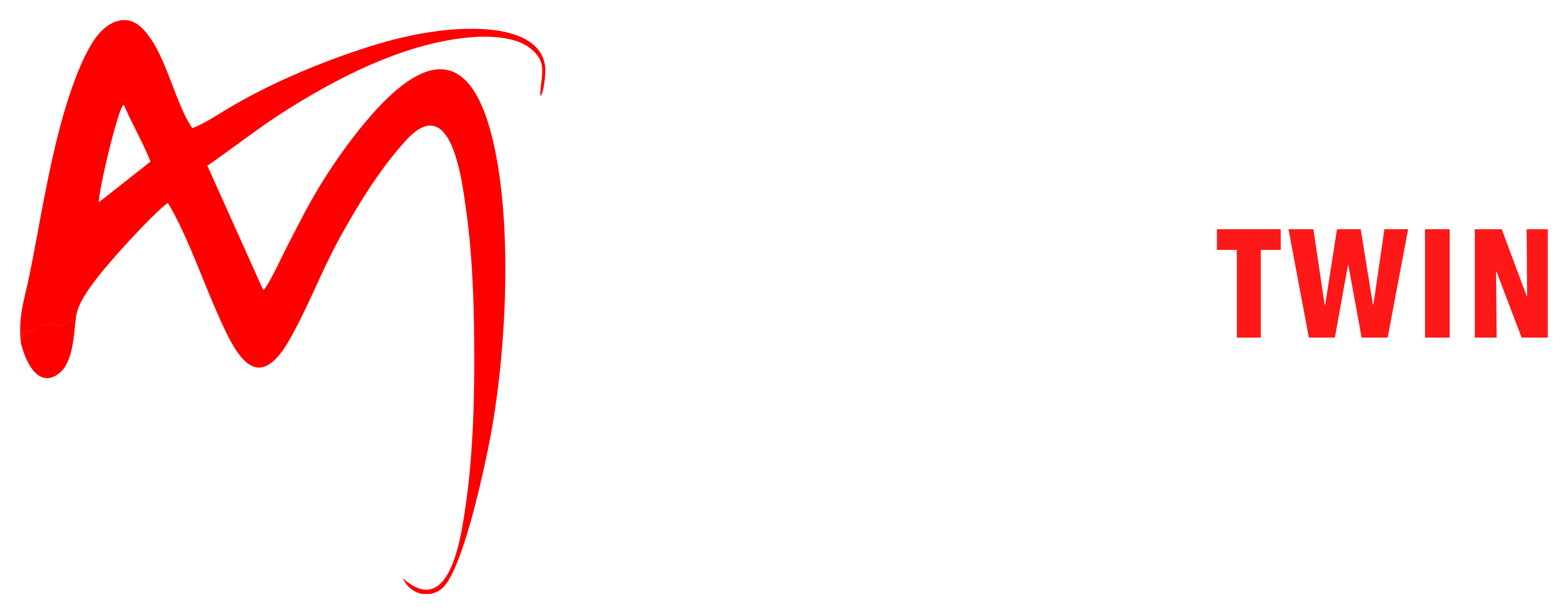 MaestroTwin